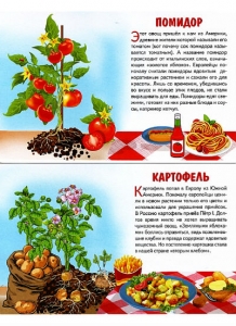 Обучающие карточки 